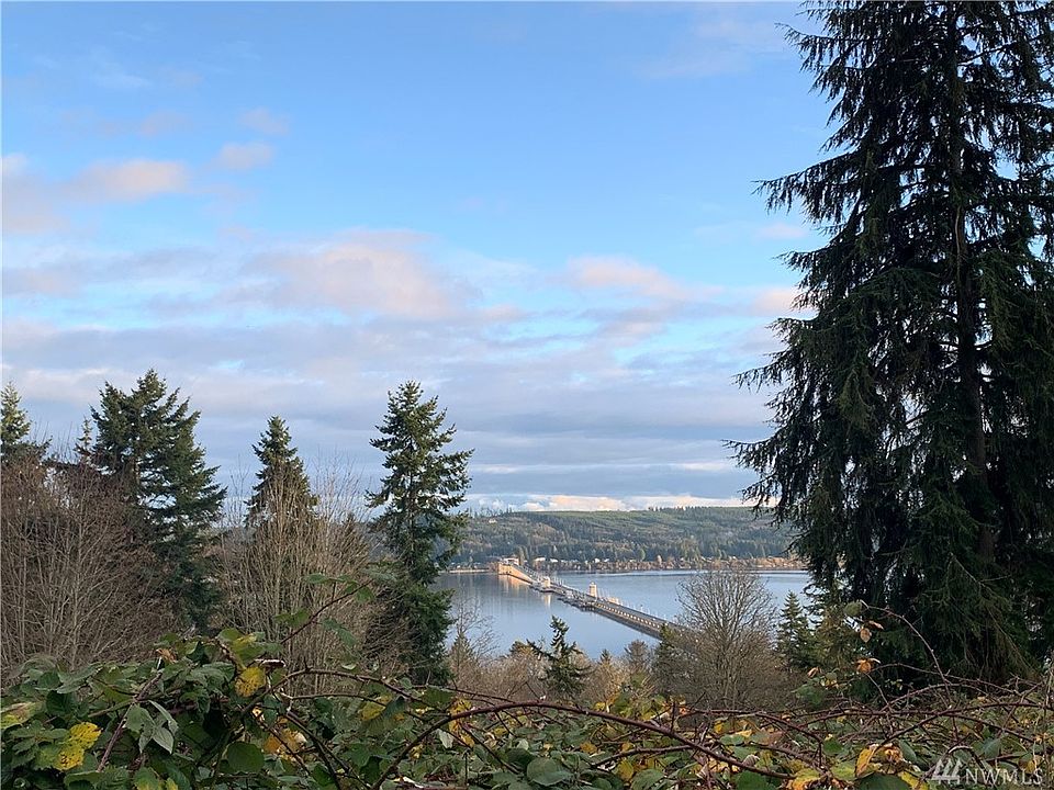 Recent photo of the even better view of Hood Canal, the Bridge and Cascades as the neighbor has cleared some of their trees. You're welcome! 