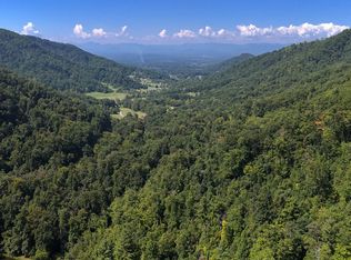 300/ACRE Flat Creek Church Rd, Weaverville, NC 28787