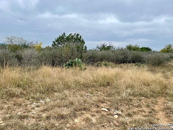 5th image of LOT 22 Brown Saddle LOT 22