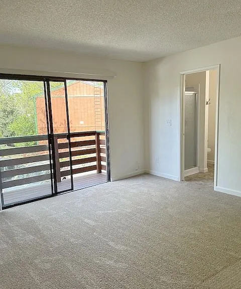 Myrtle Oaks Apartments — Photo 33