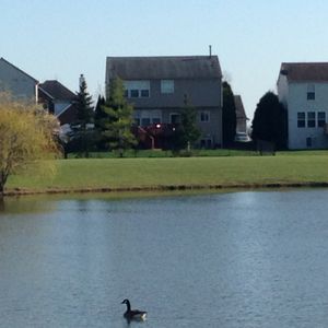 7875 Greene Farm Dr, Ypsilanti, MI, 48197