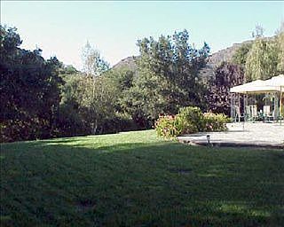 BackYardFromWestSide