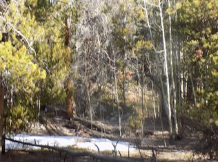 293 Placer Dr, Fairplay, CO 80440