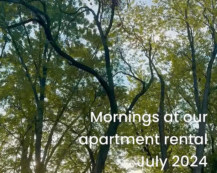 Birds are plentiful and sing all day but especially morning