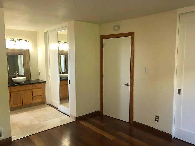 Master dressing room and closet 2