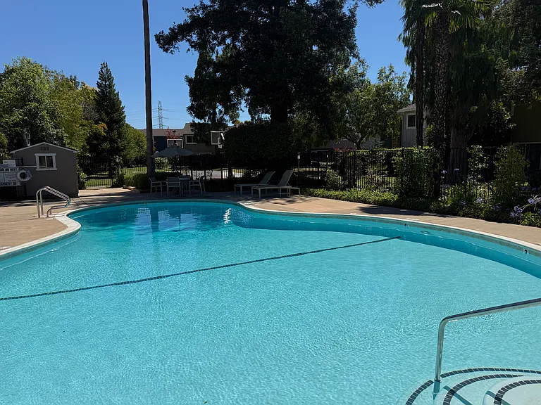248 Pine Wood Ln — Photo 40