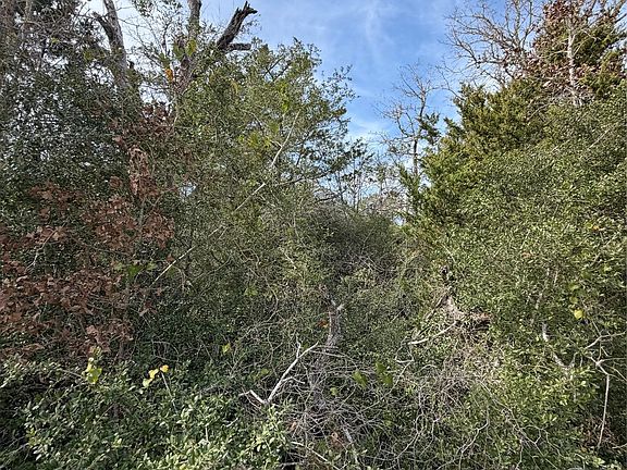 2nd image of LOT 20 Flint Ridge St