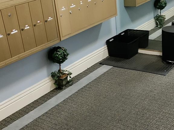Mail area