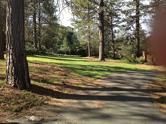 5th image of 10351 Ponderosa Way
