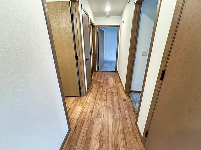 161 Marrs St #3 — Photo 3