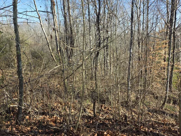 0 S State Highway 0 30.01 #1651-122, Revelo, KY 42638