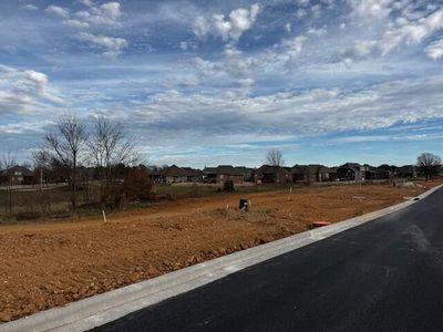 Lot 17 The Village Of Cloverhill, Nixa, MO, 65714