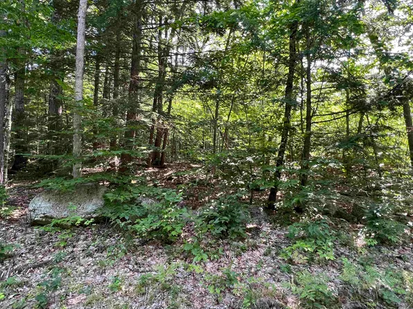 Lot 174 Deer Meadow Road #174, Webster, NH 03303