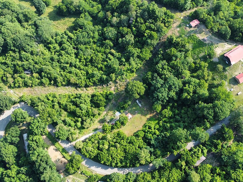 1st image of 841 Old Highway 25e