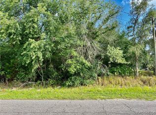 6636 N Bedstrow Blvd, Citrus Springs, FL 34434