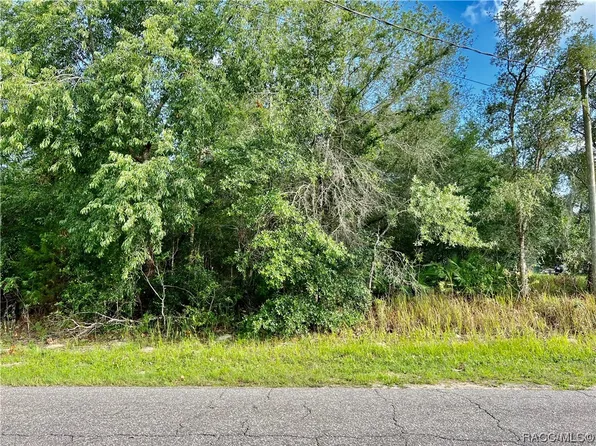 6636 N Bedstrow Blvd, Citrus Springs, FL 34434