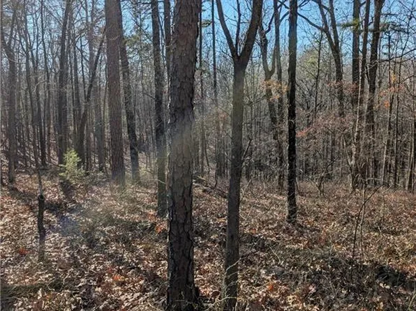 1422 Hanna Dr #1422, Ranger, GA 30734