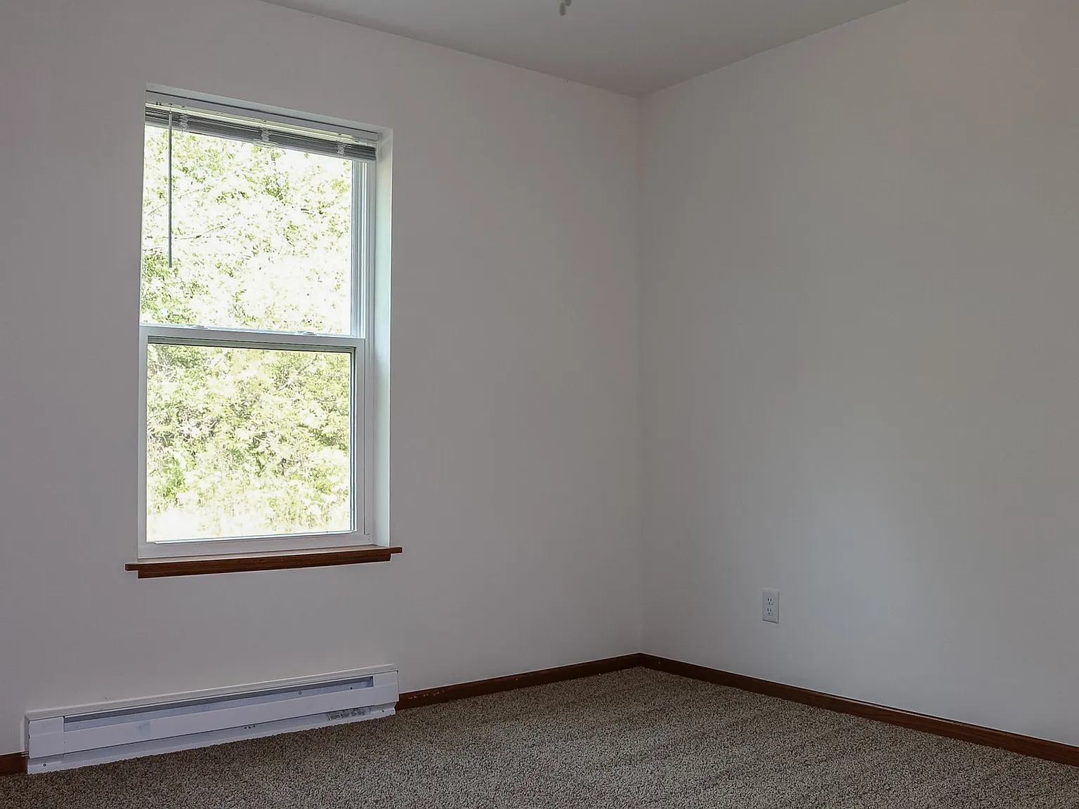 1223 Salem Drive - 1 — Photo 2