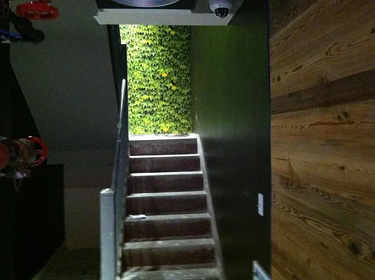 Rented by Sam Tabak | media 163