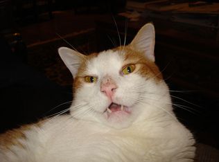 931 Black Rock Rd, Gladwyne, PA 19035