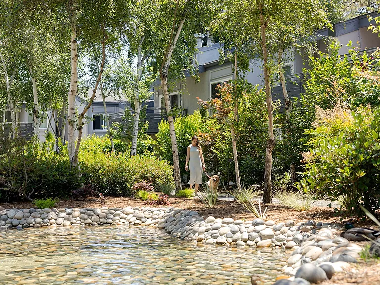 Shadowbrook — Photo 13