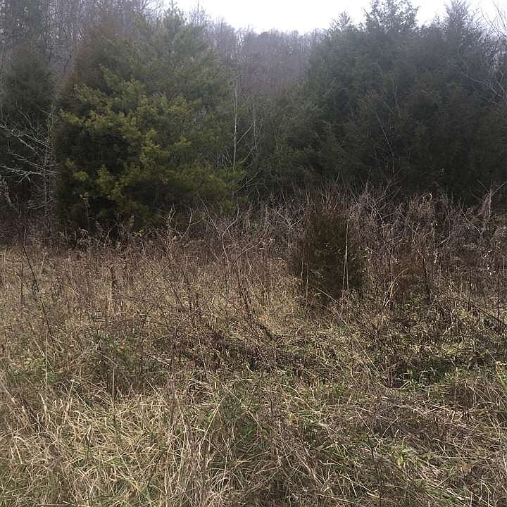 2nd image of Fairview Rd.