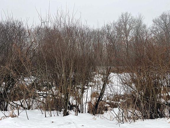 4th image of 18 AC Chicago Avenue