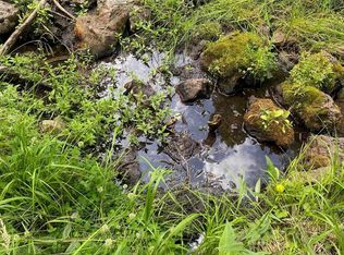 LOT 83 Elk Horn Dr, Angel Fire, NM 87710