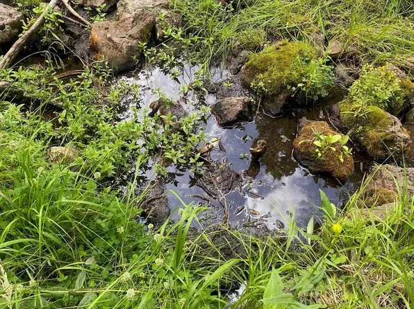 LOT 83 Elk Horn Dr, Angel Fire, NM 87710