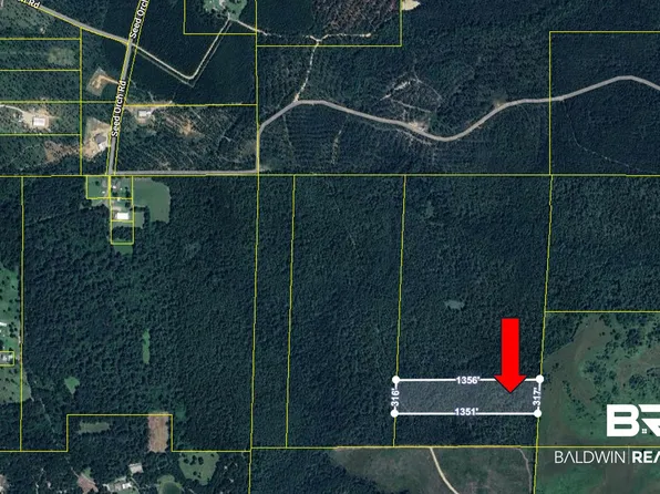 0 Seed Orchard Rd, Robertsdale, AL 36567