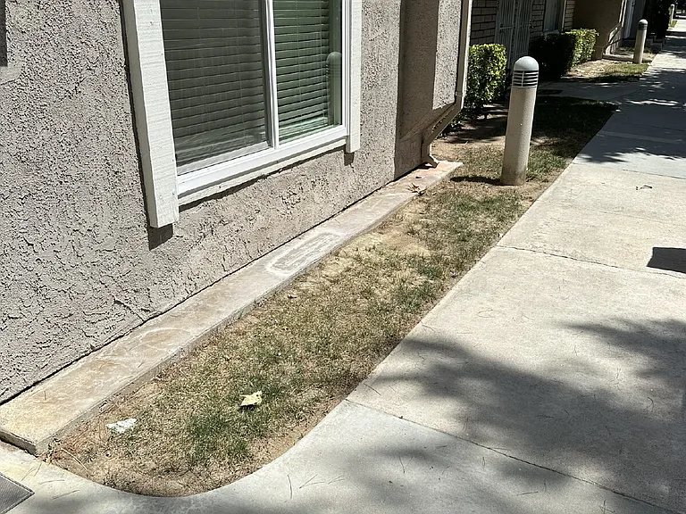 26937 Avenida Terraza — Photo 32