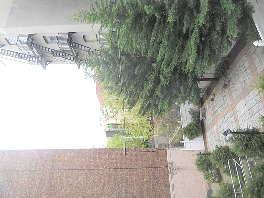 Rented by Willie Kathryn Suggs, LREB | media 27