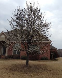 77 Maribeth Loop, Deatsville, AL, 36022