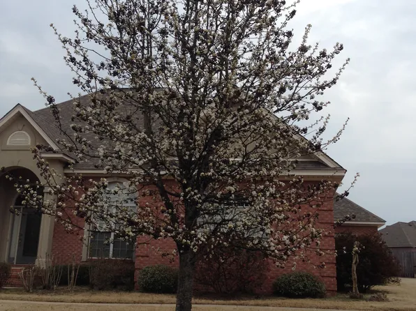 77 Maribeth Loop, Deatsville, AL 36022