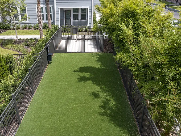 Waverly Terrace — Photo 16