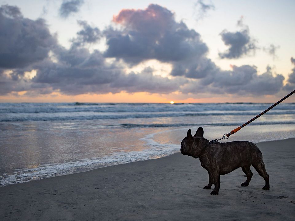 Vulcan Alley Apartment Rentals Encinitas, CA Zillow