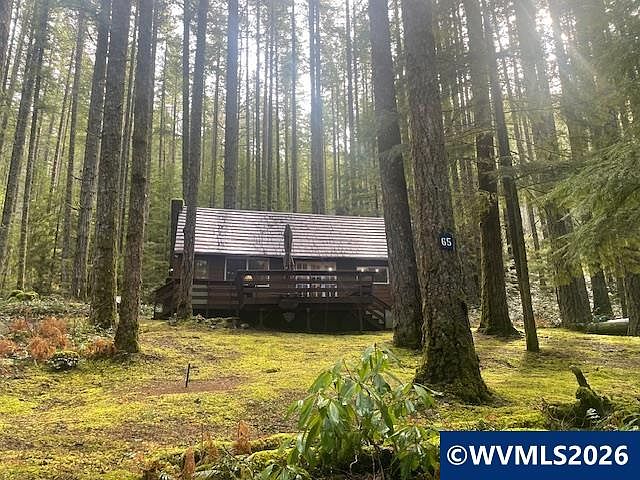 1st image of 65-B Stahlman Forest Service #49
