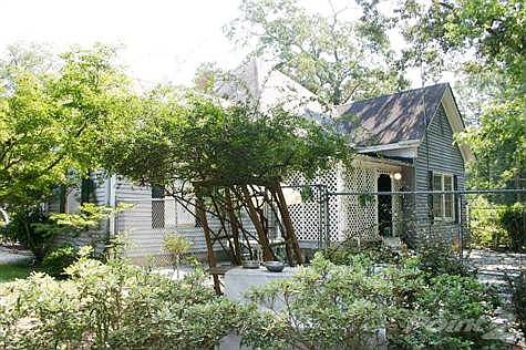 TONS OF SHRUBS & PLANTS