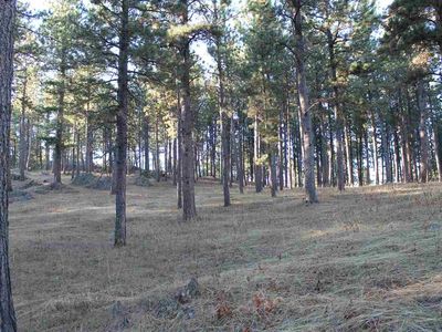 Tigerville Rd, Hill City, SD, 57745
