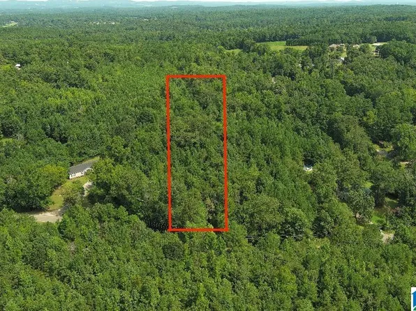 0 Tawbush Rd Lot 16, Trafford, AL 35172