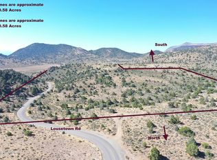 1000 Lousetown Rd, Reno, NV 89521