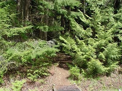 Beaver Ridge Park located directly across the street. See the park trail above.