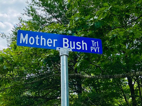 2nd image of 00 Mother Bush Trail