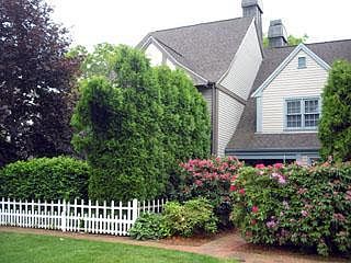 2nd image of 11 Village Green Circle #11