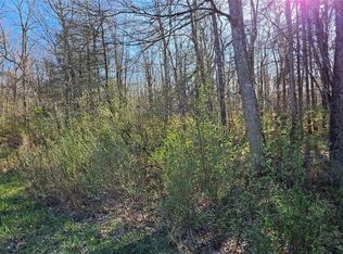 Lot 70 Cushetunk Drive, Cochecton, NY 12726