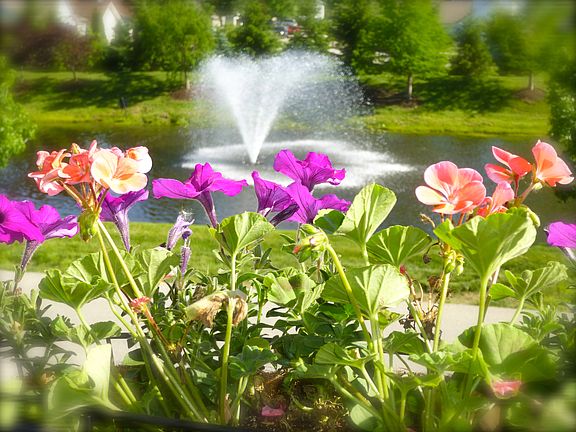 rear balcony w/ view of pond
