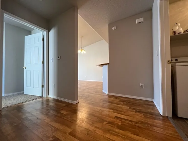 2890 S Ladera Pl — Photo 22