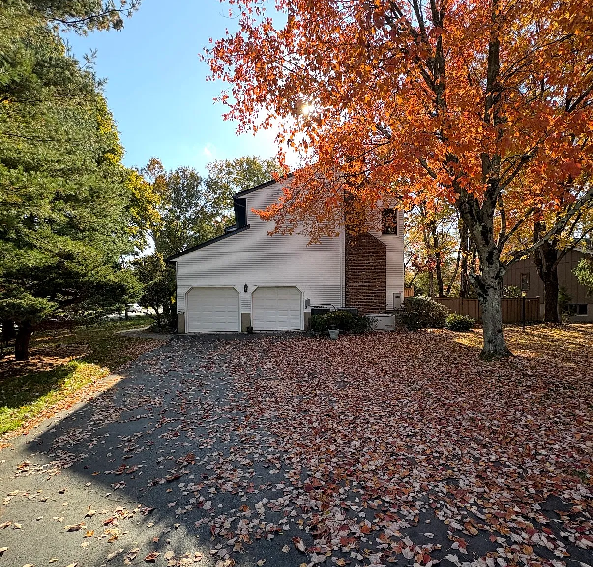 4 bed, 2900 sqft, $6,250 — Photo 3