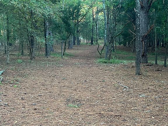 2nd image of TRACT 3 Seven Islands Rd