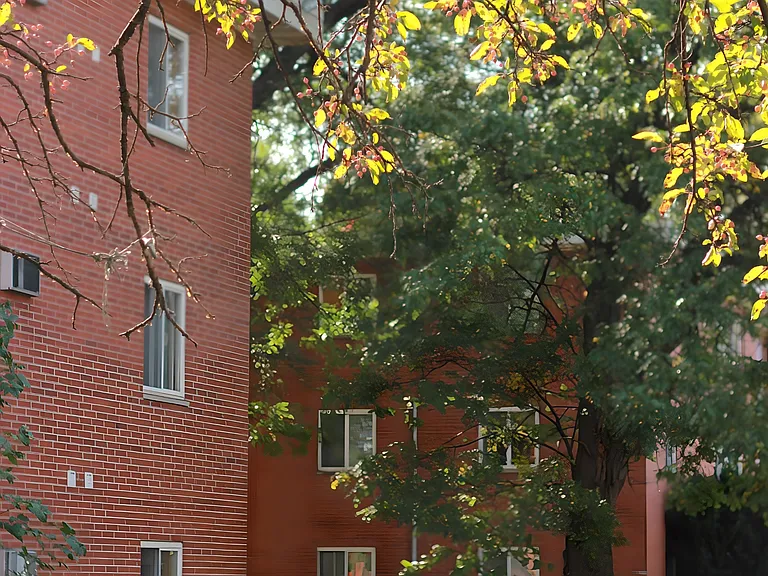 300 Fuller Ave #8 — Photo 18